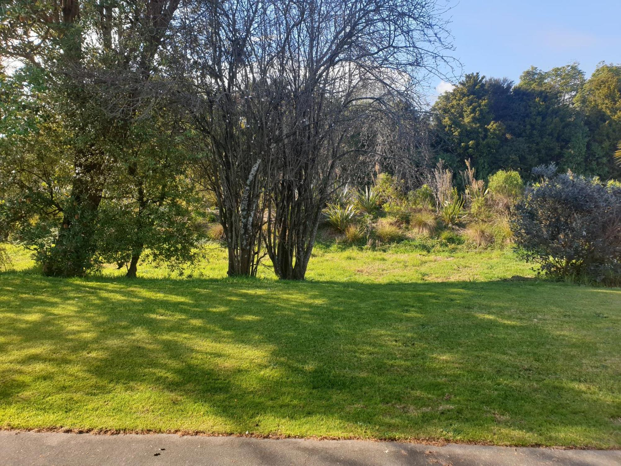 Otaki Motel Room photo